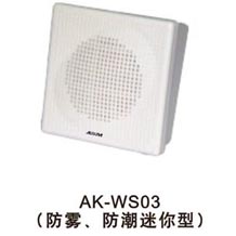 壁挂音箱AK-WS03